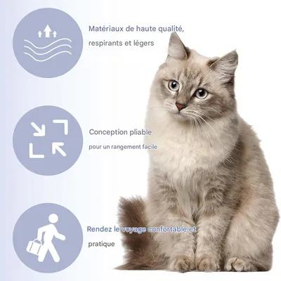 IntiMeg Sac de Transport pour Chat