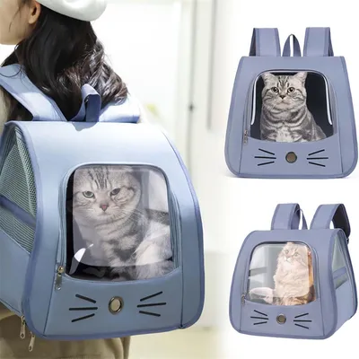 IntiMeg Sac de Transport pour Chat