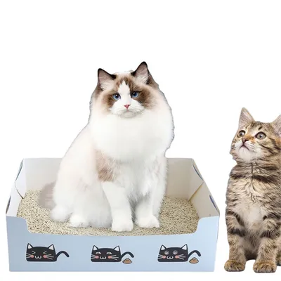 Pet Planet Bac à litière jetable pliable pour voiture