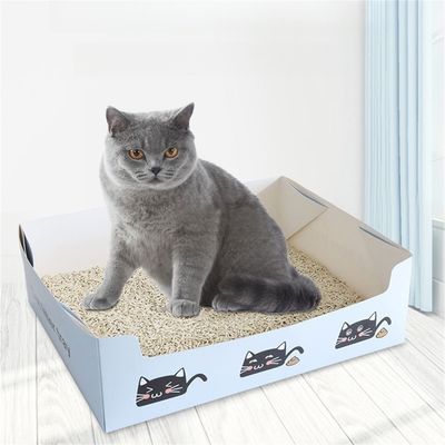 Pet Planet Bac à litière jetable pliable pour voiture