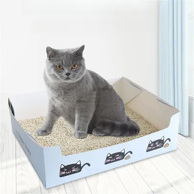 Pet Planet Bac à litière jetable pliable pour voiture