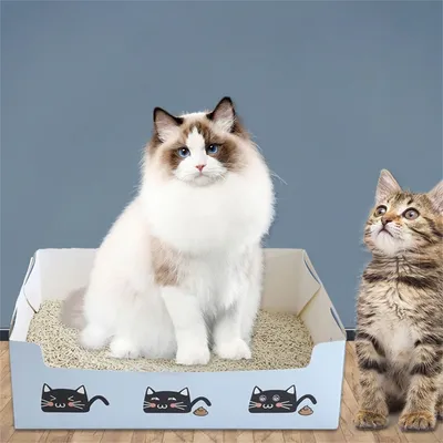 Pet Planet Bac à litière jetable pliable pour voiture