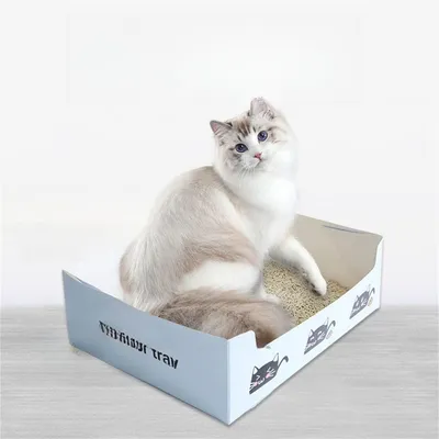 Pet Planet Bac à litière jetable pliable pour voiture