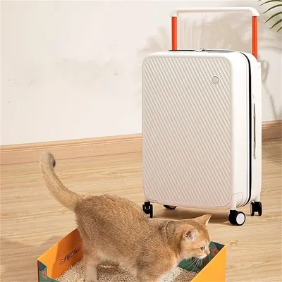 Pet Planet Bac à litière jetable pliable pour chat 3 pièces Pet Planet Bac à litière jetable pliable pour chat 3 pièces