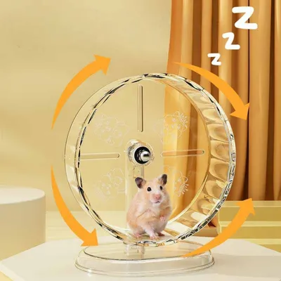 Petopia Roue de hamster silencieuse