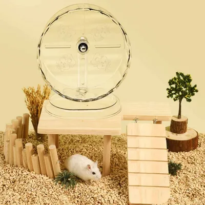 Petopia Roue de hamster silencieuse