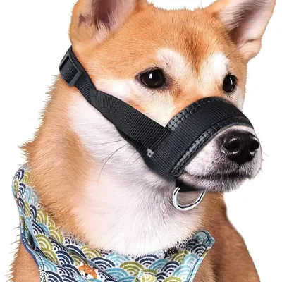 Pet Planet Muselière en nylon réglable pour chien
