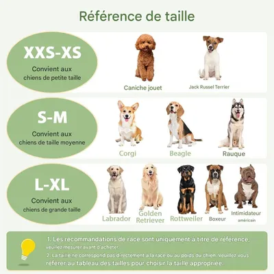 IntiMeg Muselière pour chien en 3D maillage respirant