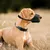 Pet Planet Muselière en maille douce pour chien Pet Planet Muselière en maille douce pour chien