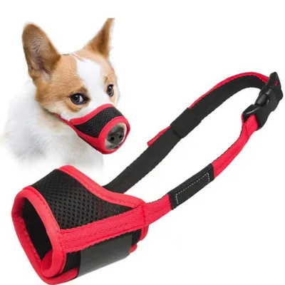 Petopia Muselière réglable en nylon pour chien