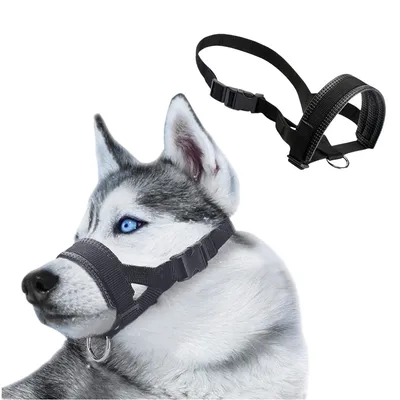 Pet Planet Muselière en nylon réglable pour chien