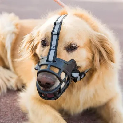 Pet Planet Muselière en silicone souple pour chiens