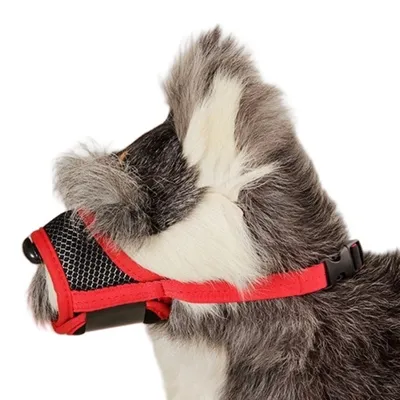 Petopia Muselière réglable en nylon pour chien
