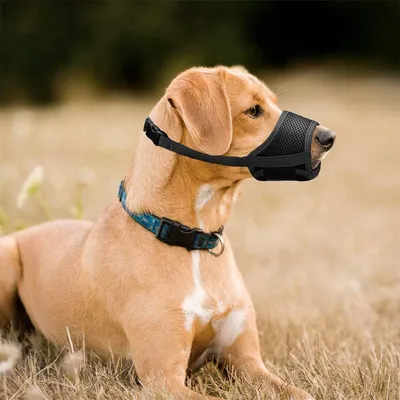 Pet Planet Muselière en maille douce pour chien Pet Planet Muselière en maille douce pour chien