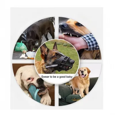 Pet Planet Muselière en silicone souple pour chiens