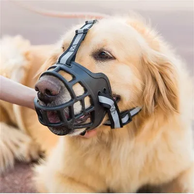 Pet Planet Muselière en silicone souple pour chiens