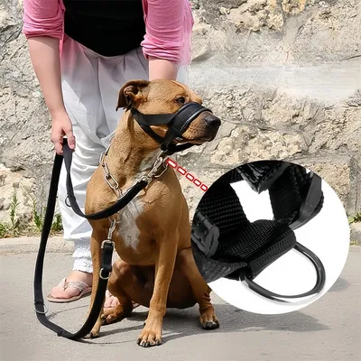 Pet Planet Muselière en nylon réglable pour chien