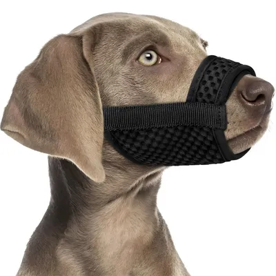 IntiMeg Bozal para perros de malla transpirable 3D