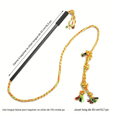 Pet Planet Chiens ActiveTrain Poteau de Flirt