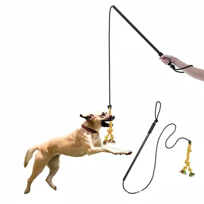 Pet Planet Chiens ActiveTrain Poteau de Flirt