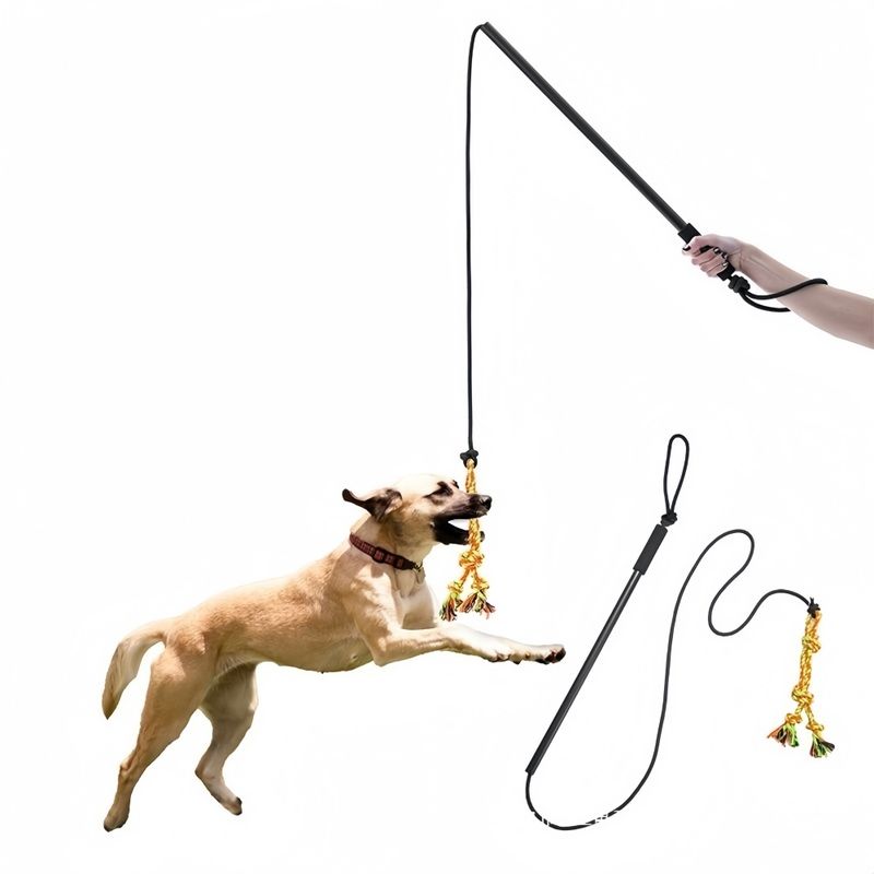 Pet Planet Chiens ActiveTrain Poteau de Flirt