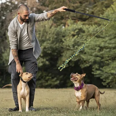 Pet Planet Chiens ActiveTrain Poteau de Flirt