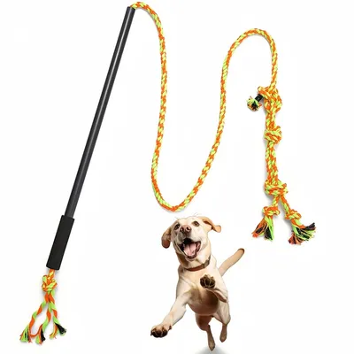 Pet Planet Chiens ActiveTrain Poteau de Flirt