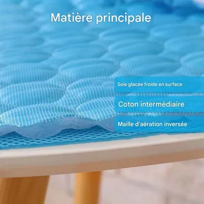 Pet Planet Chiens et Chats Tapis Rafraichissant CoolComfort