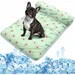 Pet Planet Chiens et Chats CoolComfort Tapis rafraîchissant