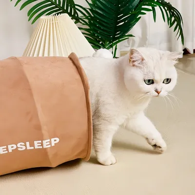 FurryFusion Tunnel pour chat avec balles de jeu