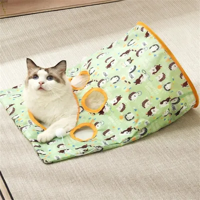 Pet Planet Jouet tunnel avec pour chat