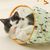 Pet Planet Jouet tunnel avec pour chat