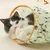 Pet Planet Jouet tunnel avec pour chat