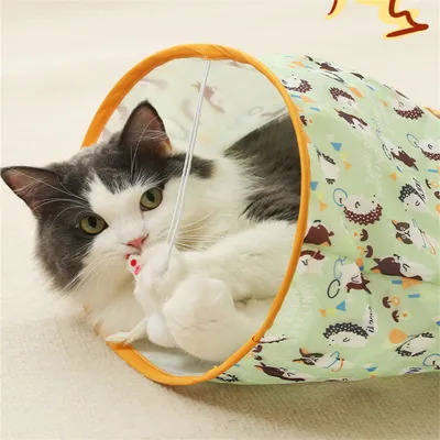 Pet Planet Jouet tunnel avec pour chat