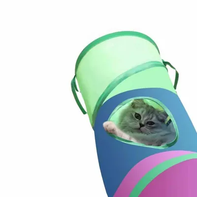 Petopia Tunnel pliable pour chat