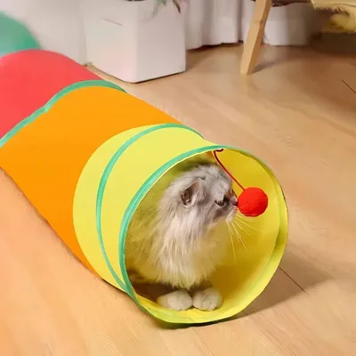 Petopia Tunnel pliable pour chat
