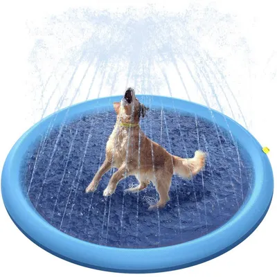 Pet Planet Tapis de pulvérisation pour chien