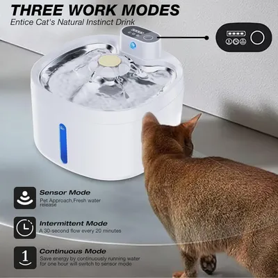 Fontaine à eau sans fil pour chats et chiens 42000mAH rechargeable
