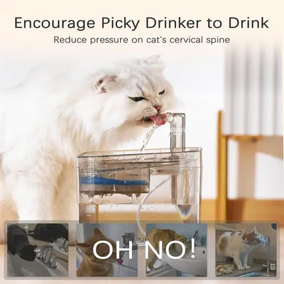 IntiMeg Fontaine d'eau pour chat