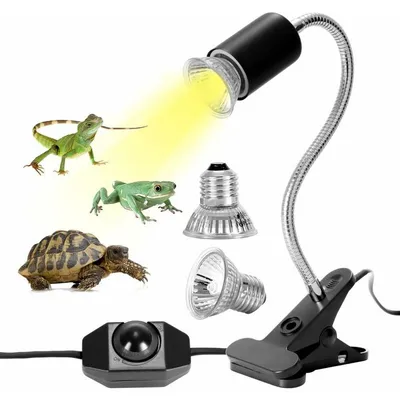 Kit Lampe Chauffante Tortue Terrestre Lampe Reptiles Chauffante