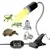 Pied de lampe + 2 ampoules