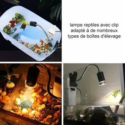 Kit Lampe Chauffante Tortue Terrestre Lampe Reptiles Chauffante