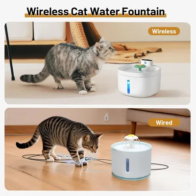 Fontaine à eau sans fil pour chats et chiens 42000mAH rechargeable