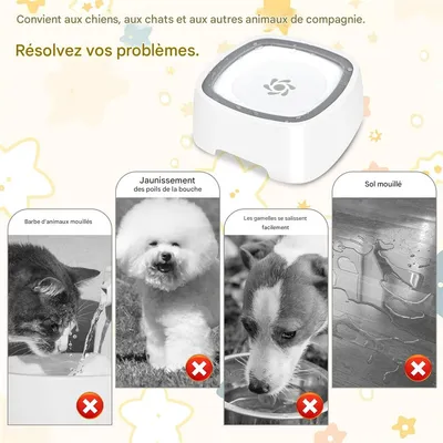 IntiMeg Gamelle d'eau anti éclaboussure pour chien et chat