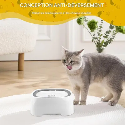 IntiMeg Gamelle d'eau anti éclaboussure pour chien et chat