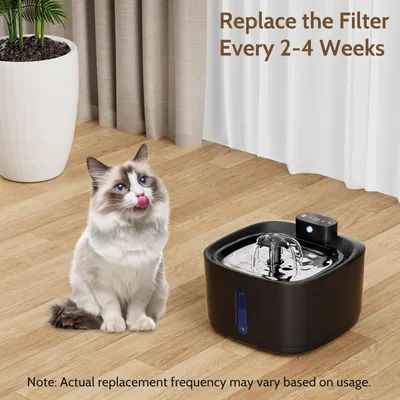 Fontaine à eau pour chats - 6 pièces d'éléments filtrants + 2 éponges