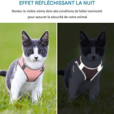 IntiMeg Harnais pour Chat et Petit Chien