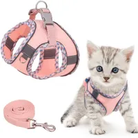 IntiMeg Harnais pour Chat et Petit Chien