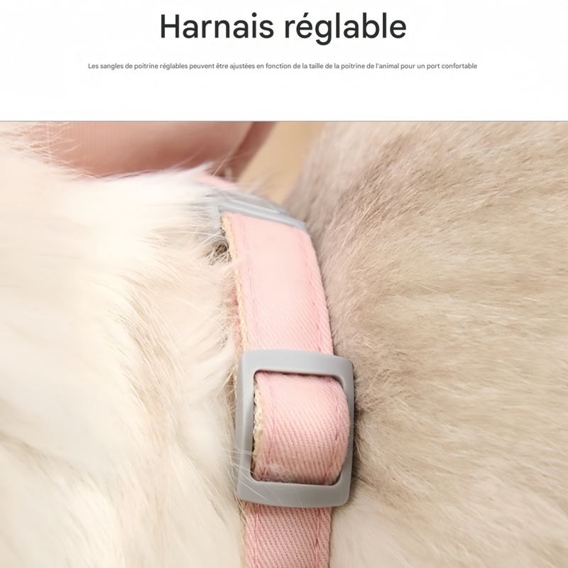 FurryFusion Harnais pour chat Pink Chick