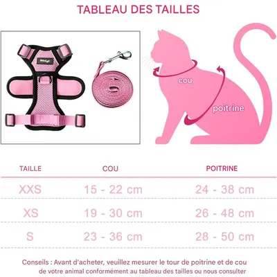 IntiMeg Harnais et Laisse pour Chat et Petit Chien IntiMeg Harnais et Laisse pour Chat et Petit Chien